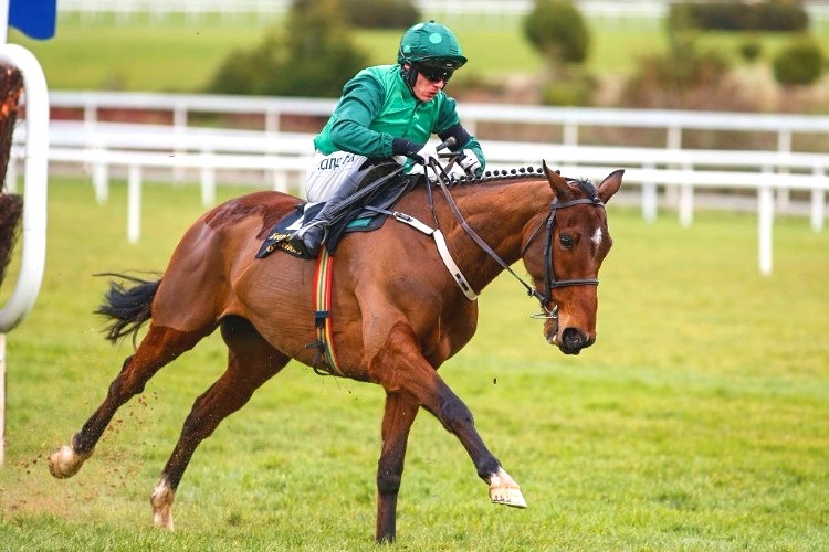 FOOTPAD winning the Frank Ward Solicitors Arkle Novices' Steeple chase at Leopardstown in Ireland. FOOTPAD winning the Frank Ward Solicitors Arkle Novices' Steeple chase at Leopardstown in Ireland.