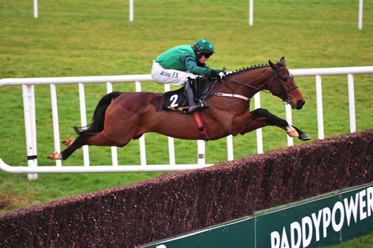 Footpad winning the Frank Ward Solicitors Arkle Novice Chase (Grade 1)