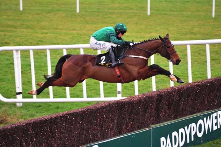 Footpad Footpad