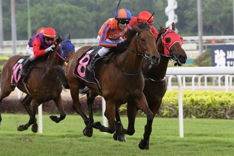 Hidden Promise winning the CLASS 3 LIM'S STABLE STAKES