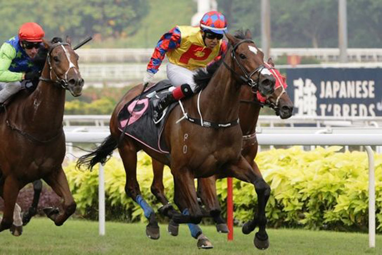 Hongchen winning the CLASS 4 NON PREMIER