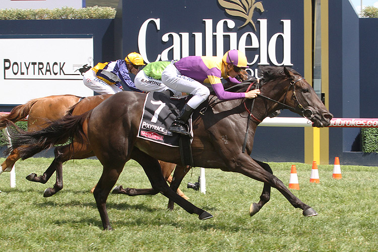 Lady Esprit winning the W.J. Adams Stakes