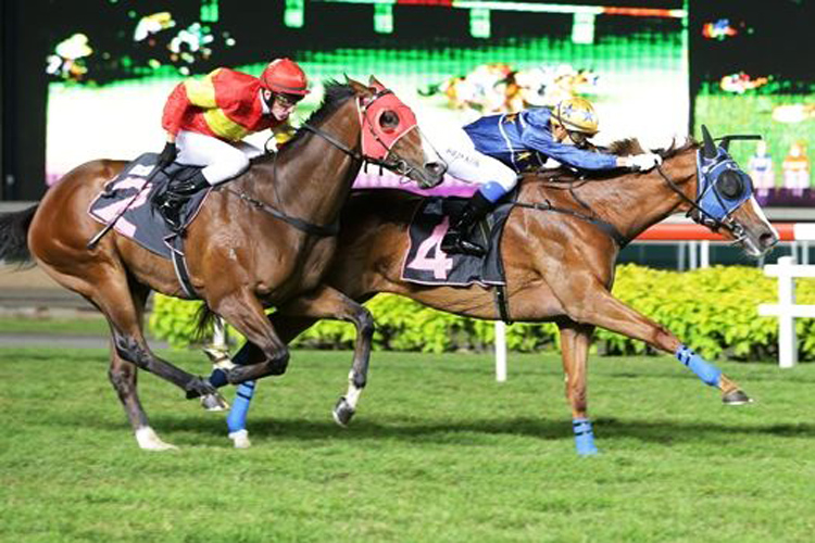 Be Bee (John Powell) looms but could not peg back Lim's Racer (Simon Kok Wei Hoong) on February 9.