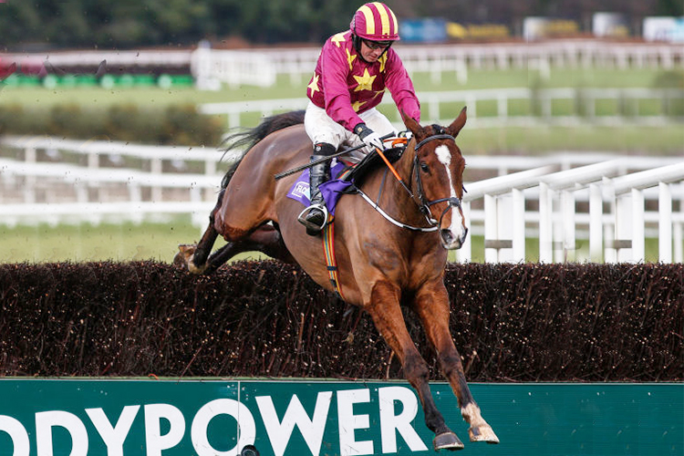 MONALEE winning the Flogas Novice Steeple chase at Leopardstown in Ireland.