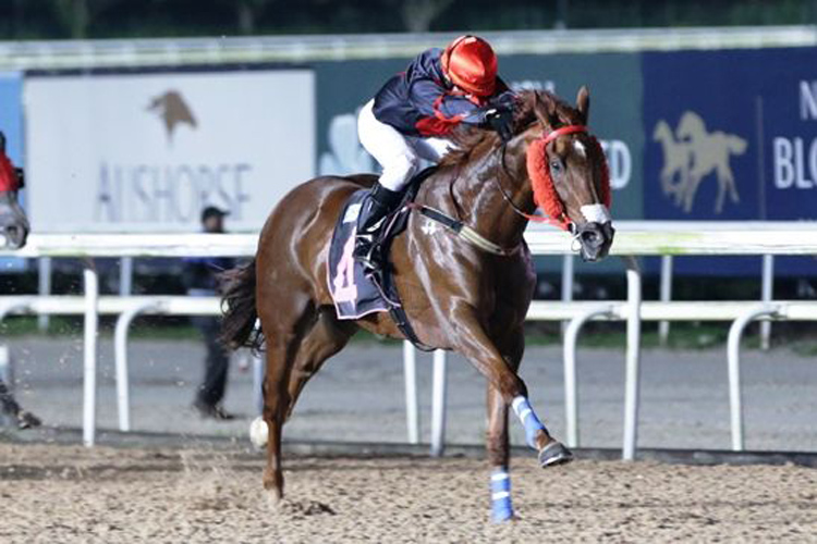 Maximus (Troy See) makes all in the Kranji Stakes C race on Friday.