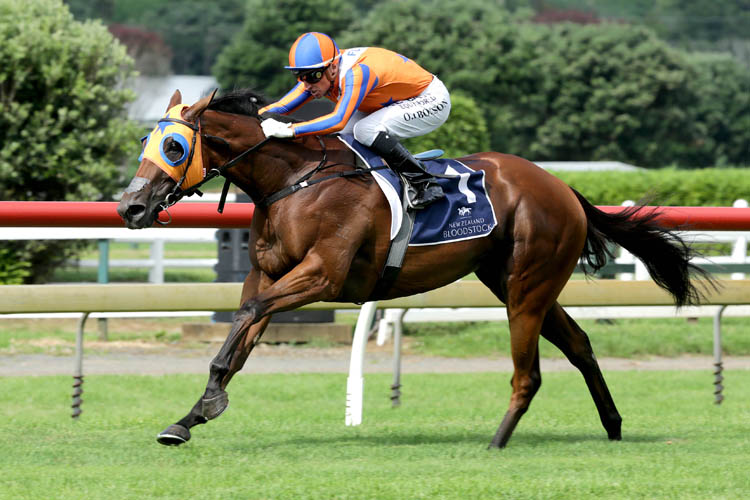 Melody Belle will contest the Gr.2 Missile Stakes (1200m) at Rosehill on Saturday.<br />