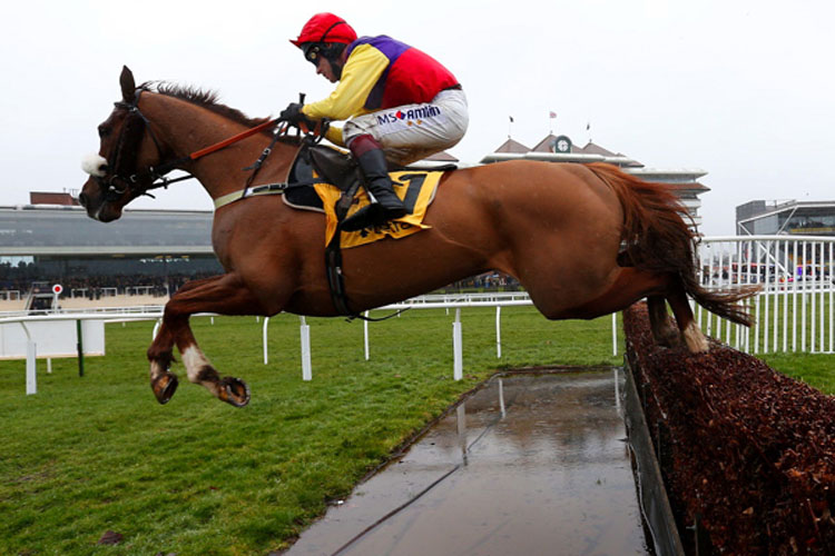 Native River winning the Betfair Denman Chase (Grade 2)