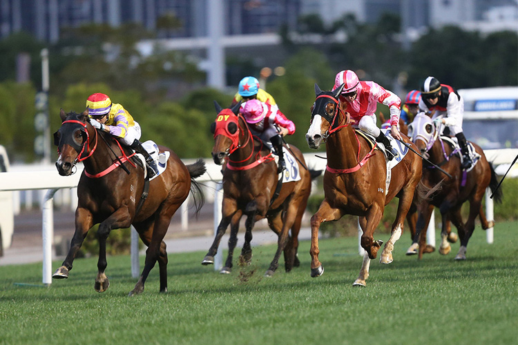 Ping Hai Star (front) completes a hat-trick of wins earlier this month. Ping Hai Star (front) completes a hat-trick of wins earlier this month.