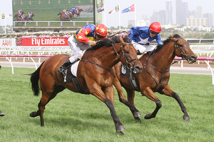 Rock 'n' Gold winning the Kensington Stakes