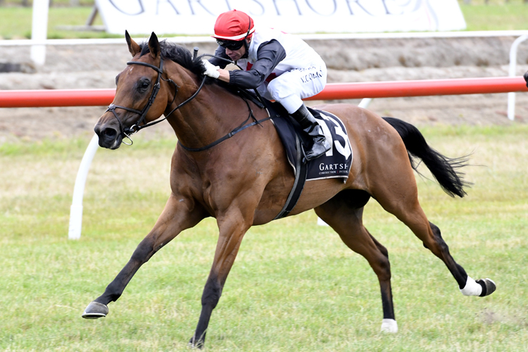 Rondinella winning the Gartshore Mdn