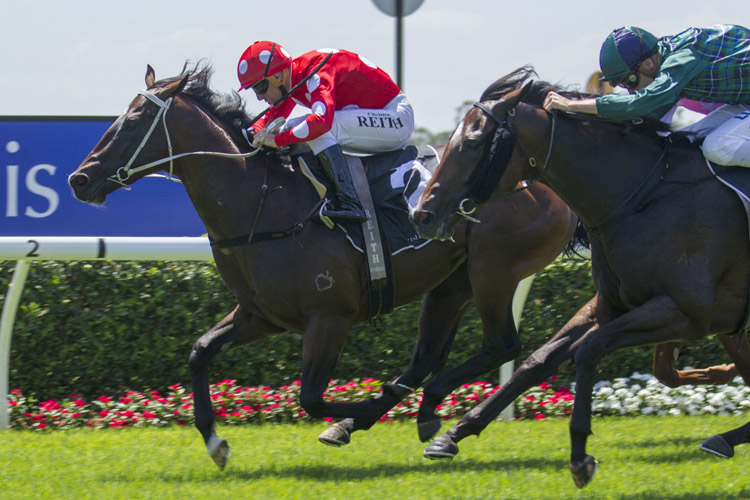 Sandbar winning the T'bred Breeders Lonhro Plate