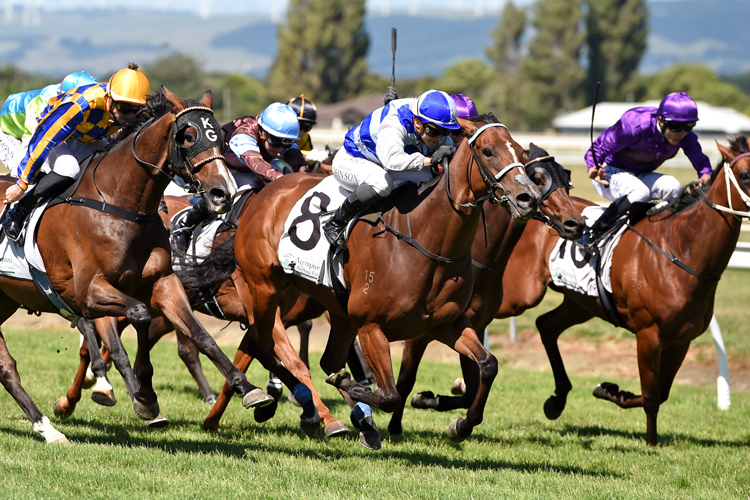 Seraphim winning the Gallagher Marton Cup