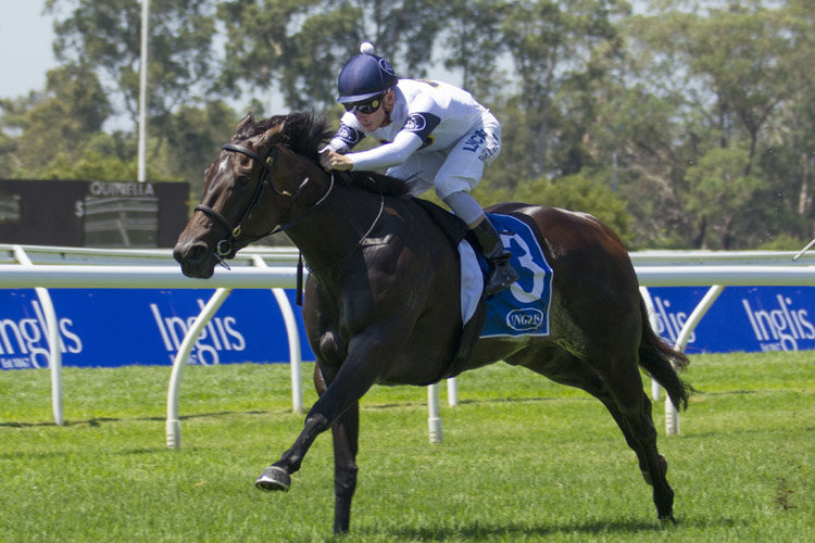 She Will Reign winning the Inglis Sprint