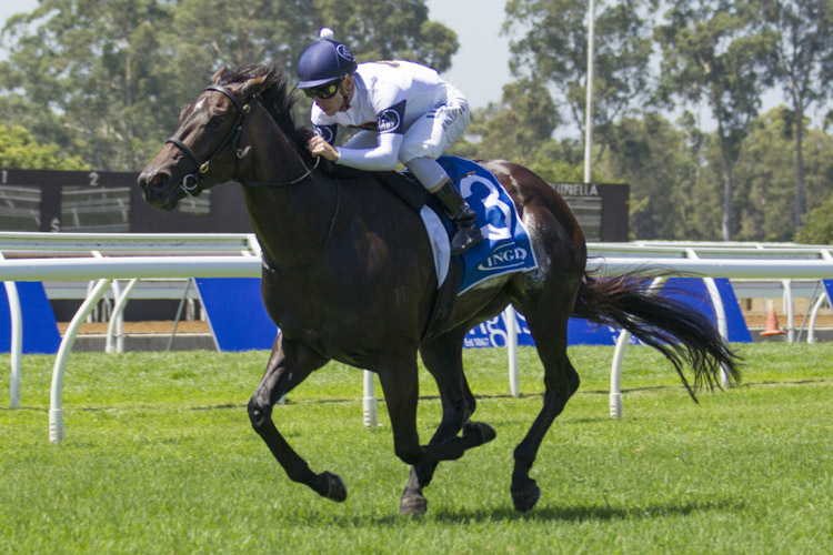 She Will Reign winning the Inglis Sprint She Will Reign winning the Inglis Sprint