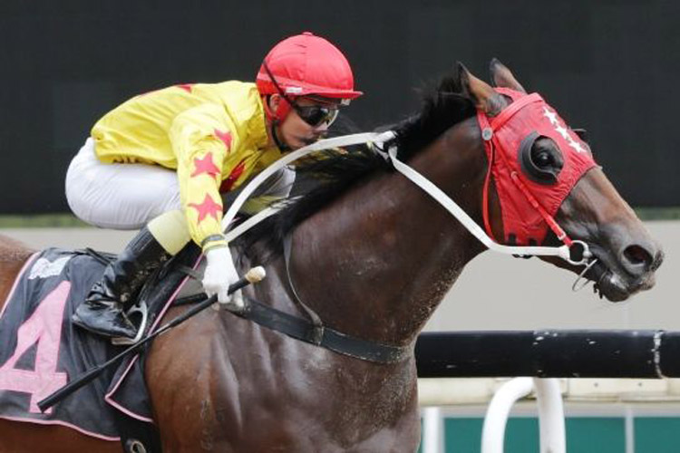 Sun Dream winning the MACAU JOCKEY CLUB TROPHY CLASS 3