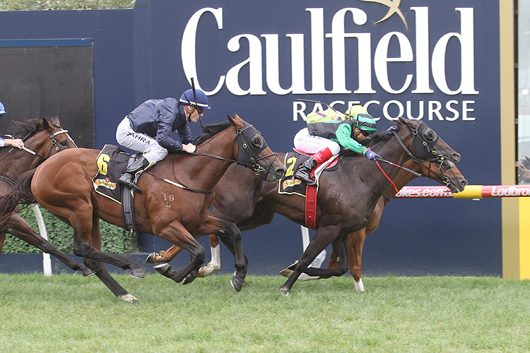 Super Cash winning the Schweppes Rubiton Stakes