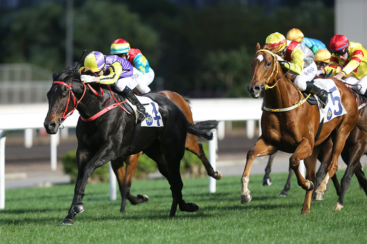Gold Chest (No.5) finishes second behind Time To Celebrate last start. Gold Chest (No.5) finishes second behind Time To Celebrate last start.