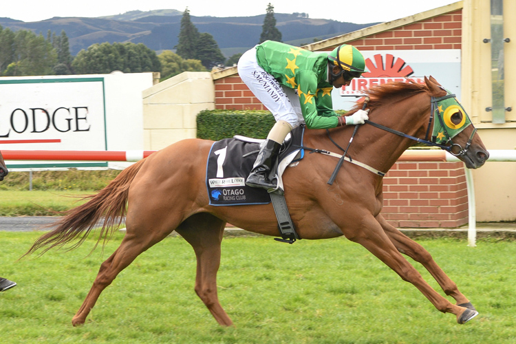 Tommy Tucker winning the White Robe Lodge