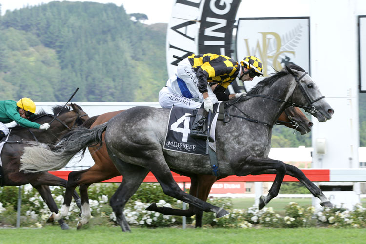 Von Tunzelman winning the Mills Reef Trentham Stakes