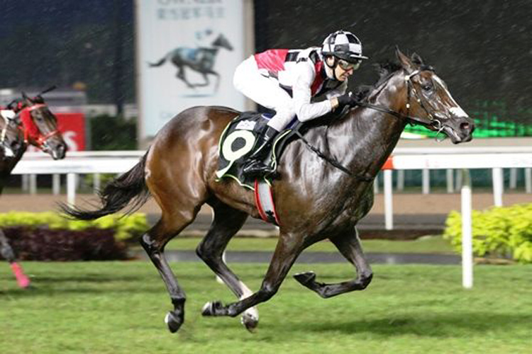 What's New winning the RESTRICTED MAIDEN