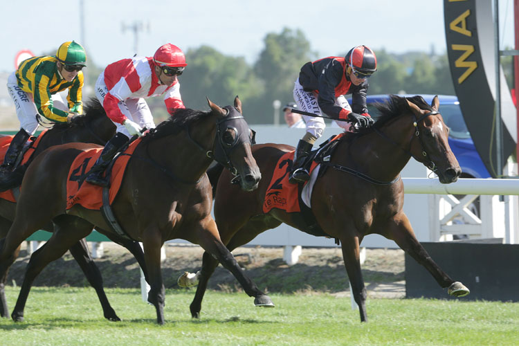 Xbox winning the Waikato Guineas