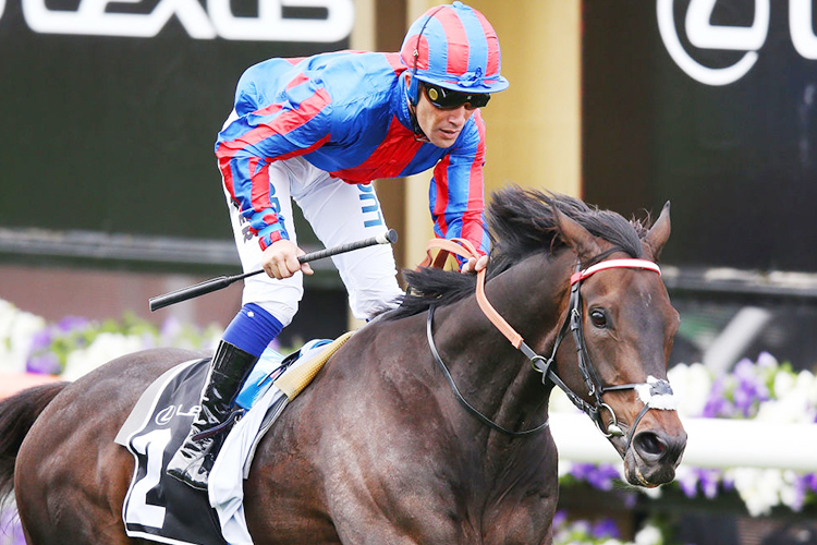 PRINCE OF ARRAN winning the Lexus Stakes during Derby Day at Flemington in Melbourne, Australia.