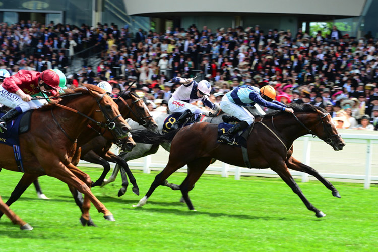 Accidental Agent winning the Queen Anne Stakes (Group 1) (British Champions Series) (Str)