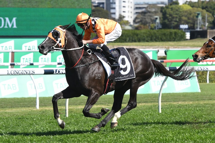 ACE HIGH winning the Yulong Australia Hill Stakes