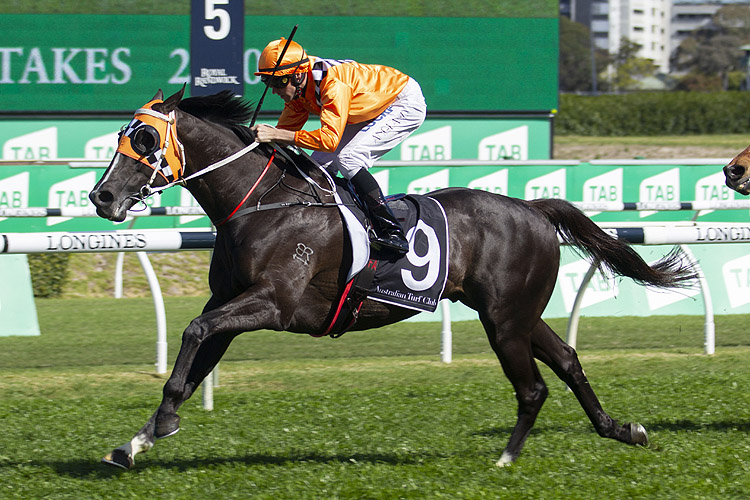 Ace High winning the Yulong Australia Hill Stakes