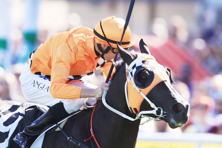 ACE HIGH winning the Yulong Australia Hill Stakes during Sydney Racing at Royal Randwick in Sydney, Australia.