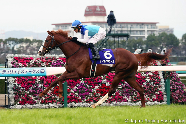 ADMIRE MARS winning the Asahi Hai Futurity Stakes at Hanshin in Japan. ADMIRE MARS winning the Asahi Hai Futurity Stakes at Hanshin in Japan.