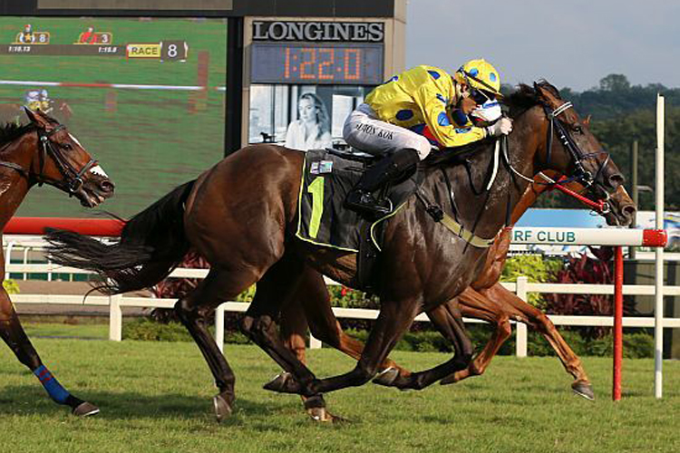 Affleck winning the KRANJI STAKES B