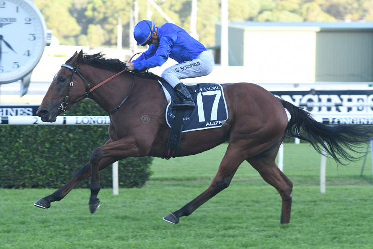 Alizee winning the Coolmore Legacy Queen Of Turf
