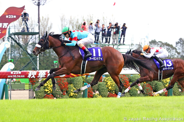 ALMOND EYE winning the Shuka Sho at Kyoto in Japan.