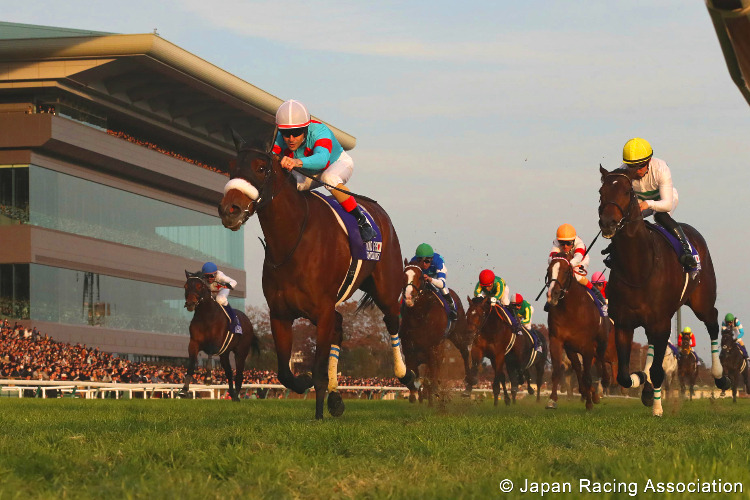 ALMOND EYE winning the Japan Cup at Tokyo in Japan. ALMOND EYE winning the Japan Cup at Tokyo in Japan.