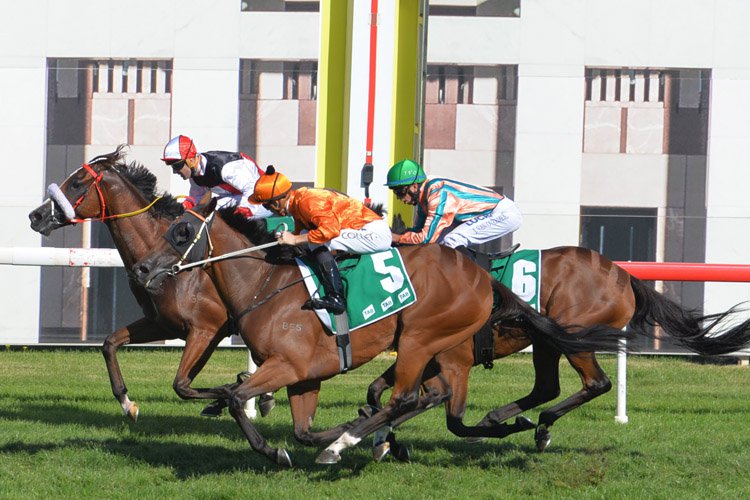 Almost Court winning the Tab.Com.Au Canberra Cup.