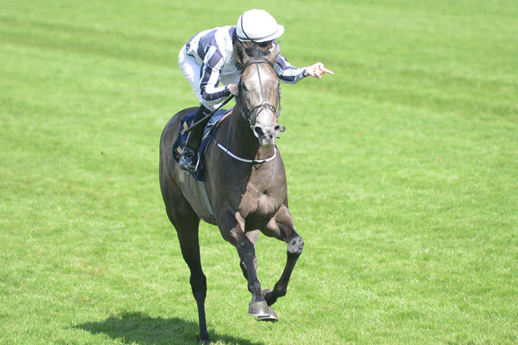 Alpha Centauri winning the Coronation Stakes (Fillies' Group 1) (British Champions Series) Alpha Centauri winning the Coronation Stakes (Fillies' Group 1) (British Champions Series)