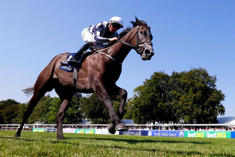 Alpha Centauri winning the Falmouth Stakes