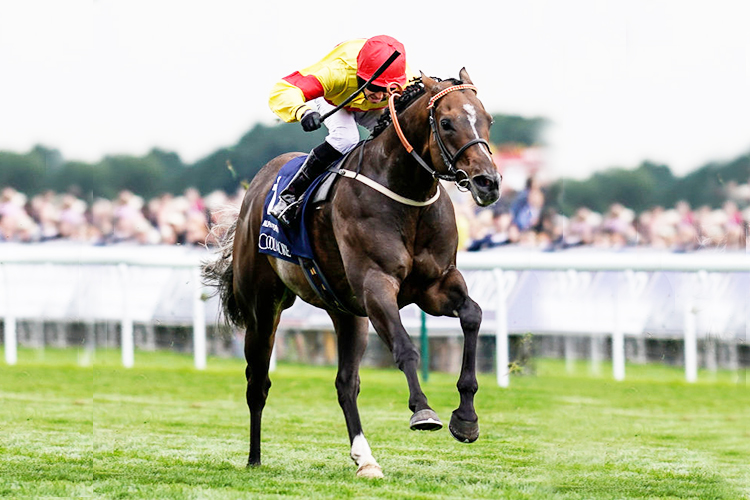 ALPHA DELPHINI winning the Coolmore Nunthorpe Stakes in York, United Kingdom.