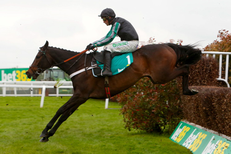 Altior Altior