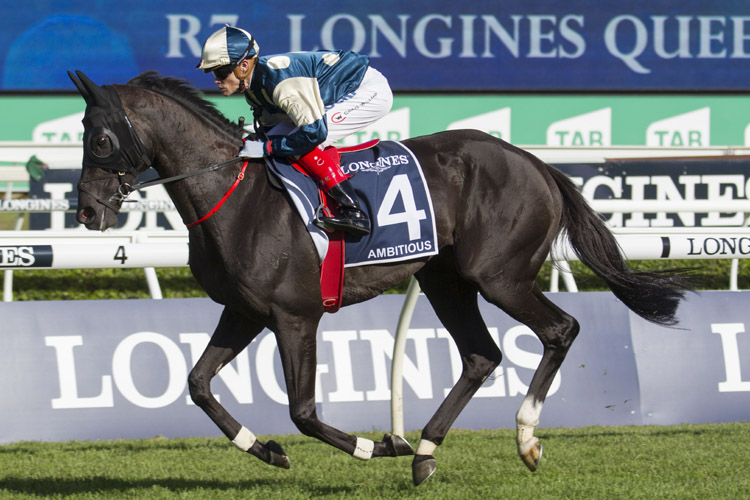 Ambitious running in the Queen Elizabeth Stks