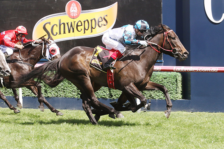 Amphitrite winning the Schweppes Thousand Guineas