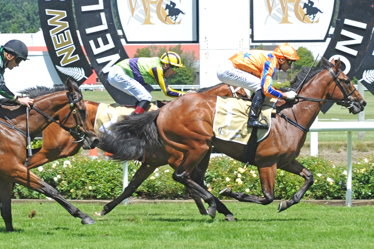 Aotea Lad winning the Challenge Stakes