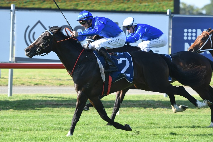 ARAMAYO winning the Hungerford Wines Spring Stakes ARAMAYO winning the Hungerford Wines Spring Stakes
