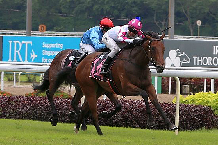 Ararat Lady winning the OCEAN PARK STAKES RESTRICTED MAIDEN