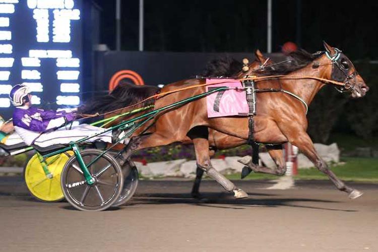 Ariana G winning her Maple Leaf Trot elimination Ariana G winning her Maple Leaf Trot elimination