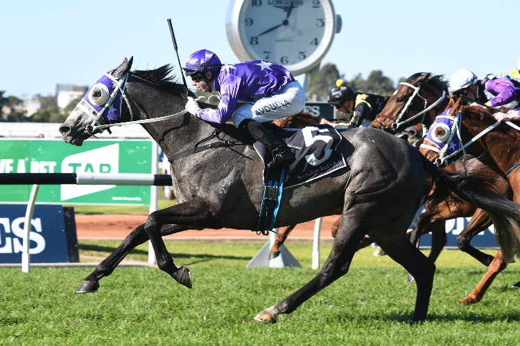 Asterius is value at Rosehill