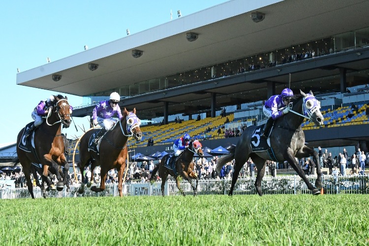 ASTERIUS winning the THERACES HANDICAP - Rosehill