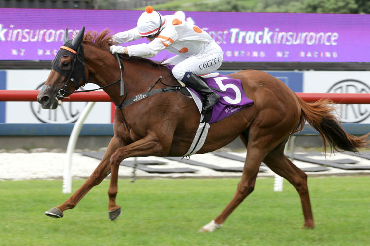 Astor winning the Mufhasa Fasttrack Stakes