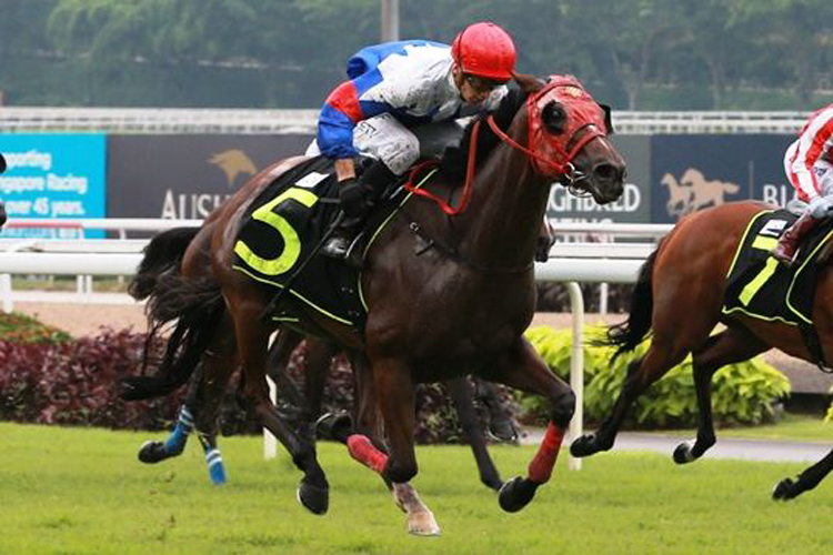 Auspicious Day (Jason Collett) scores back-to-back wins in Race 2 on Saturday.